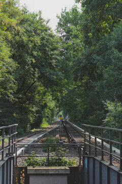Railway Tracks Leading Into Distance Through Green Tree Tunnel With Strong Perspective