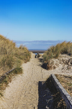 Sandy Path Through Beach Dunes Leading To Calm Sea Under Clear Blue Sky