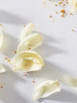 Scattered White Flower Petals And Fallen Stamens On White Surface In Minimalist Composition